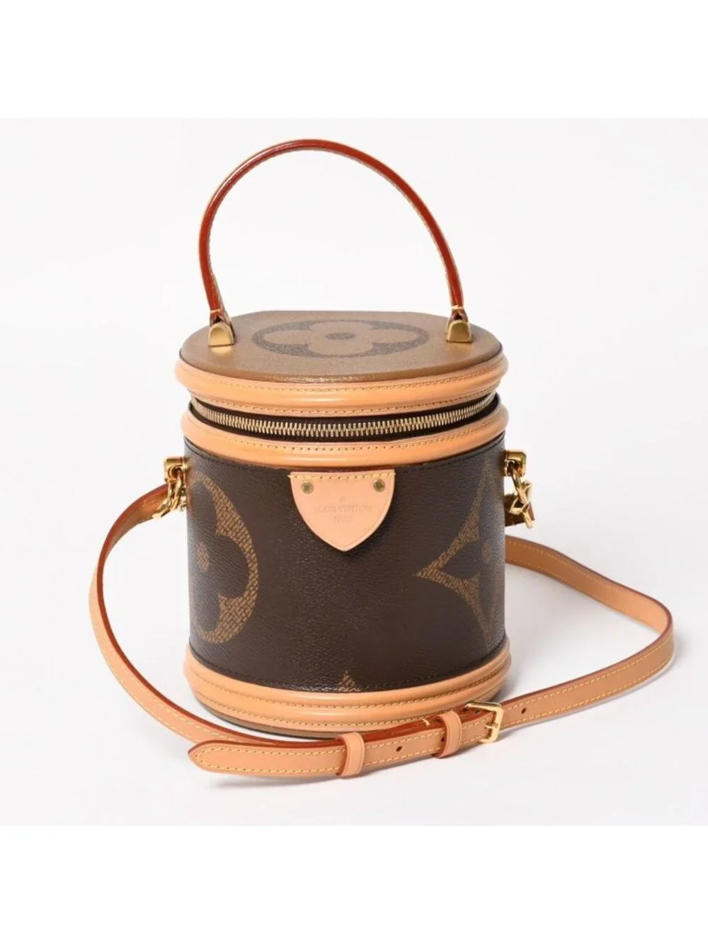 Louis Vuitton Cannes Vanity Monogram Giant Brown Reverse Shoulder Bag